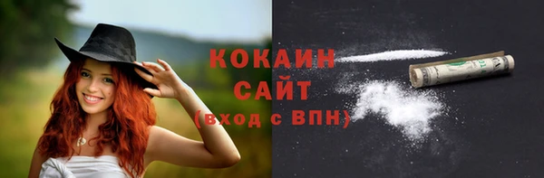 кокс Алексин