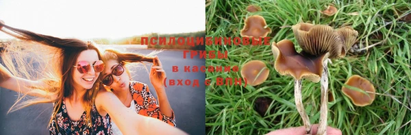 кокс Алексин